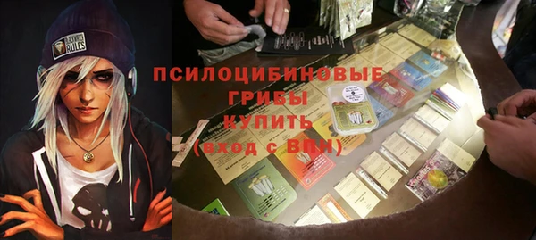 марки lsd Краснослободск
