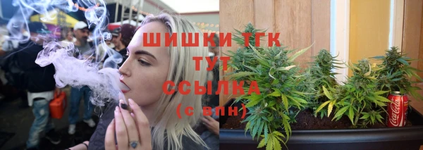 apvp Осинники